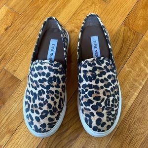 Steve Madden Sneakers